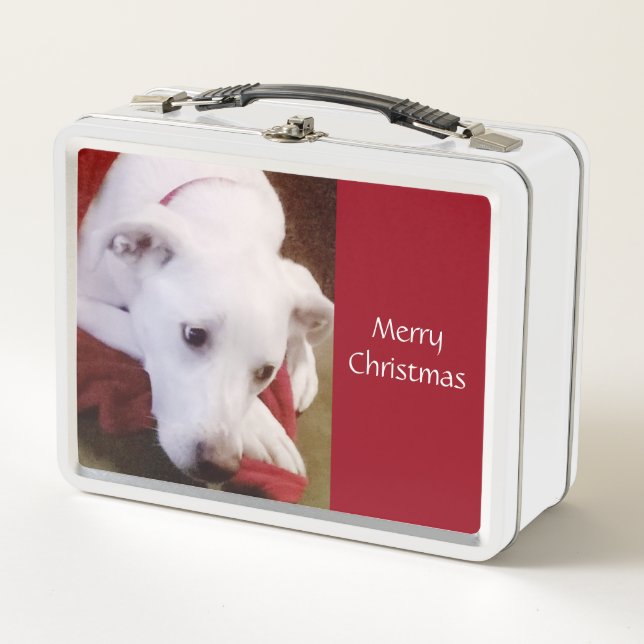 Schöner, schneeweißer Hund Red Christmas Lunchbox (Vorderseite)