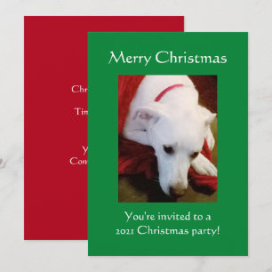 Schöner, schneeweißer Welpenhund Grün Weihnachten Einladung