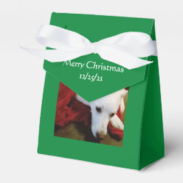 Schöner, schneeweißer Welpenhund Grün Weihnachten Geschenkschachtel