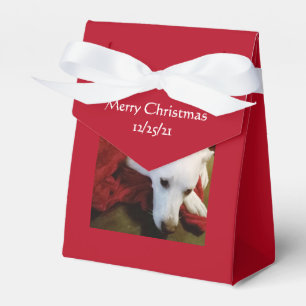 Schöner, schneeweißer Welpenhund Red Christmas Geschenkschachtel