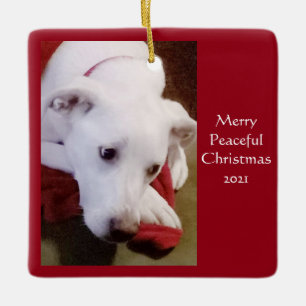 Schöner, schneeweißer Welpenhund Weihnachten Keramikornament