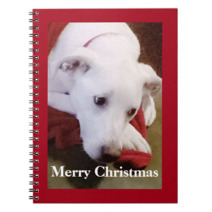 Schöner, schneeweißer Welpenhund Weihnachten Rot Notizblock