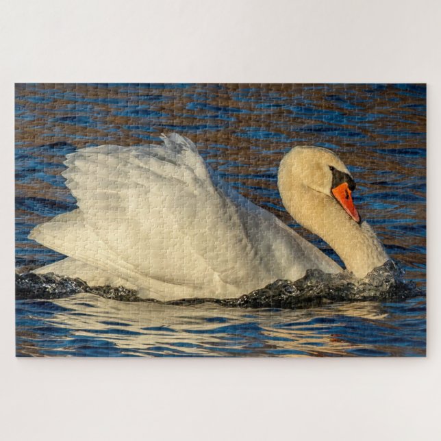 Schöner Schwan und blaues Wasser (Horizontal)