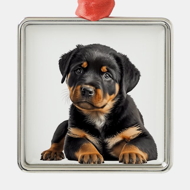 SCHÖNER SCHWARZ & TAN ROTTWEILER PUPPENHUND ORNAMENT AUS METALL (Vorne)