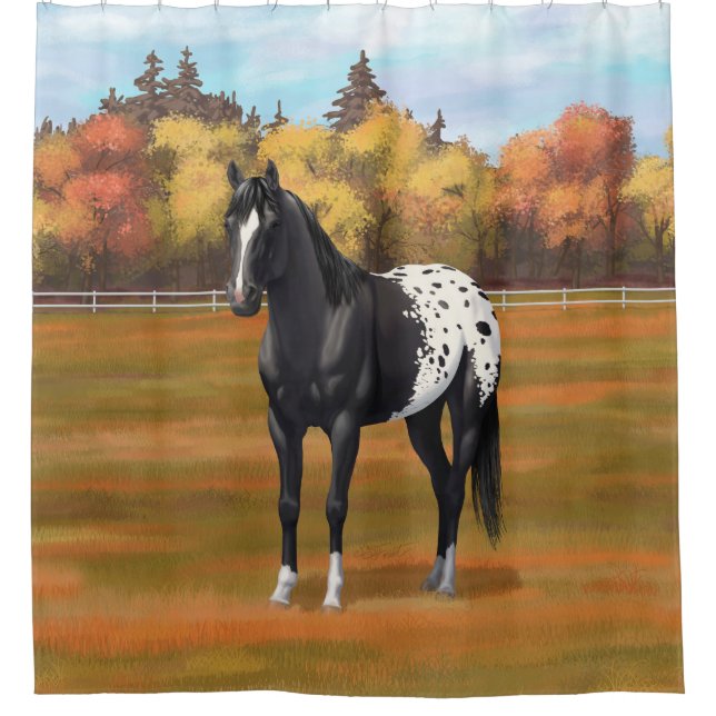 Schöner schwarzer Appaloosa Quarter Pferdehengst Duschvorhang (Vorderseite)