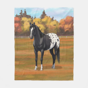 Schöner schwarzer Appaloosa Quarter Pferdehengst Fleecedecke