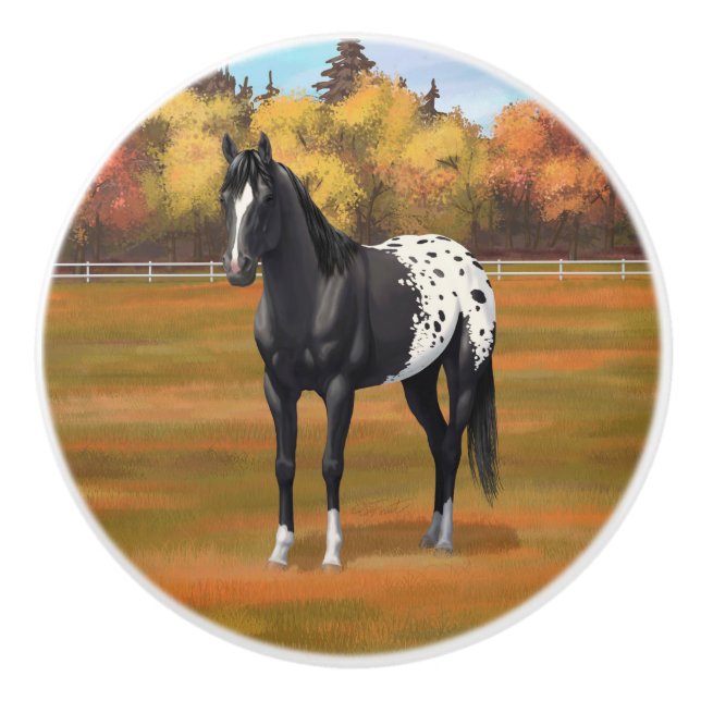 Schöner schwarzer Appaloosa Quarter Pferdehengst Keramikknauf (Vorderseite)
