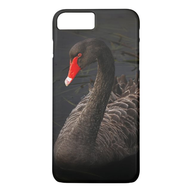 Schöner Schwarzer Schwan mit hellrotem Schnabel Case-Mate iPhone Hülle (Rückseite)