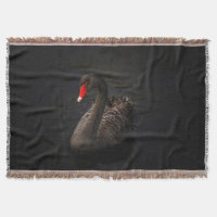 Schöner Schwarzer Schwan mit hellrotem Schnabel