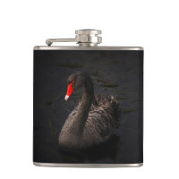 Schöner Schwarzer Schwan mit hellrotem Schnabel