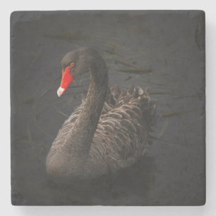 Schöner Schwarzer Schwan mit hellrotem Schnabel Steinuntersetzer