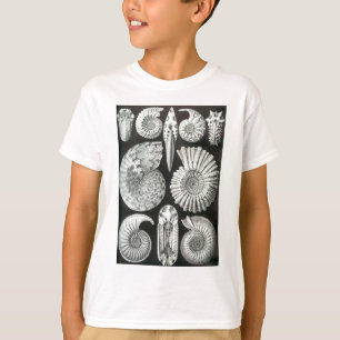 Schöner Schwarzweiss-Ammonitmusterentwurf T-Shirt
