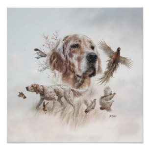 Schöner Setter, Kunst Poster