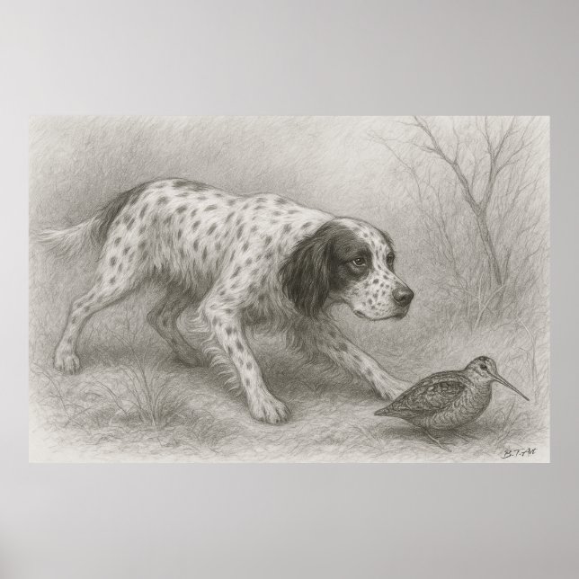 Schöner Setter, Kunst Poster (Vorne)