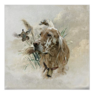 Schöner Setter mit Fasanen, Kunst Poster
