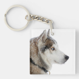 Schöner sibirischer Husky im Schnee Schlüsselanhänger