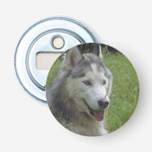 Schöner sibirischer Husky Welpenhund Flaschenöffner