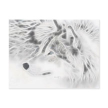 Schöner SilberWolf