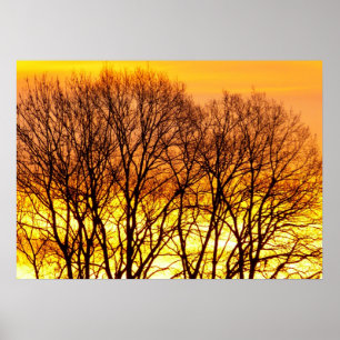 Schöner Sonnenaufgang Natur Landschaft Poster