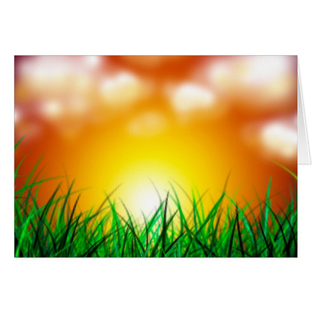 Schöner Sonnenaufgang über einem Grasfeld (Vorderseite (Horizontal))