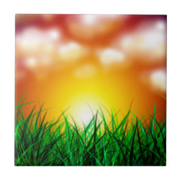 Schöner Sonnenaufgang über einem Grasfeld Fliese