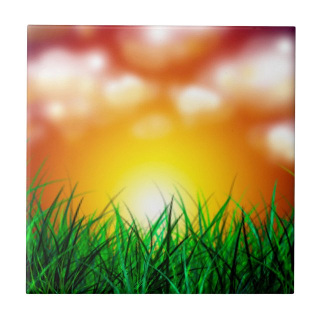 Schöner Sonnenaufgang über einem Grasfeld Fliese (Vorderseite)