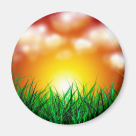 Schöner Sonnenaufgang über einem Grasfeld Magnet