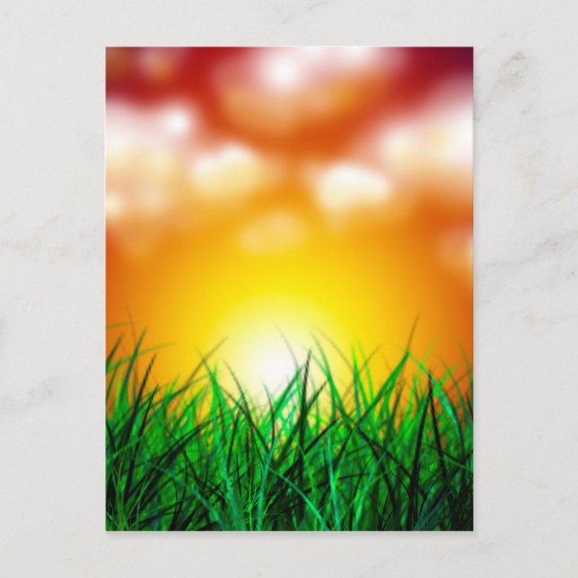 Schöner Sonnenaufgang über einem Grasfeld Postkarte (Vorderseite)