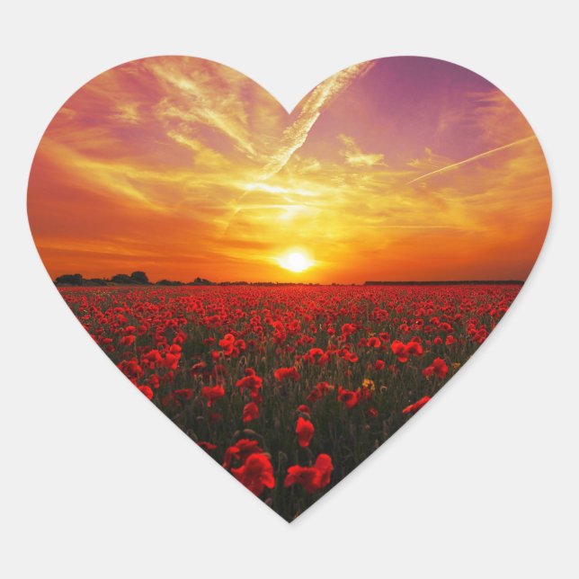 Schöner Sonnenuntergang auf der Mohnblume-Blume Herz-Aufkleber (Vorderseite)