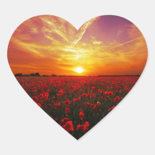 Schöner Sonnenuntergang auf der Mohnblume-Blume Herz-Aufkleber