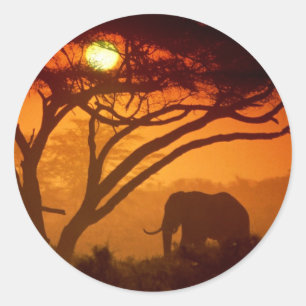 Schöner Sonnenuntergang-Elefant Runder Aufkleber