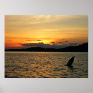 Schöner Sonnenuntergang Poster