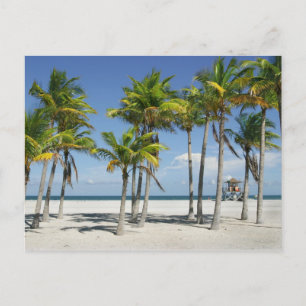 Schöner sonniger Strand Nachmittags Postkarte