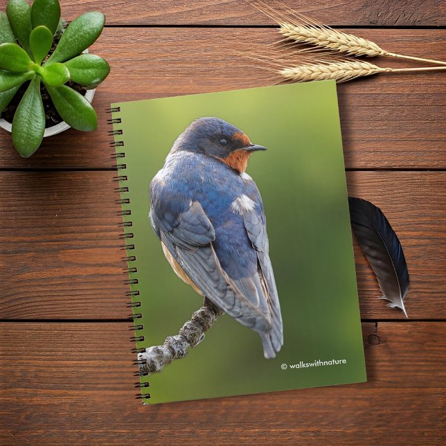 Schöner Stall Schlucken an einer Zweigstelle Notizblock (Beautiful Barn Swallow on a Branch Journal Cover Photo)
