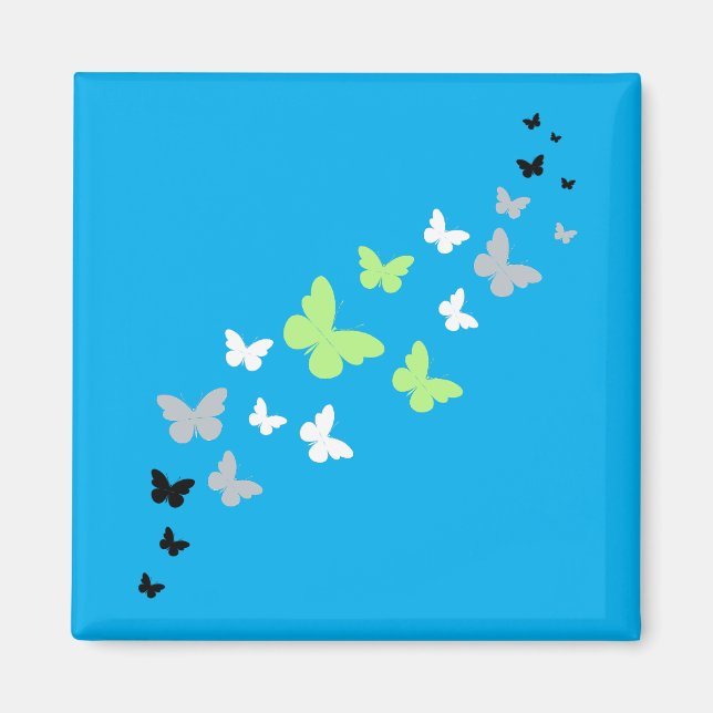 Schöner Stolz der Schmetterlingsagentur Magnet (Vorne)