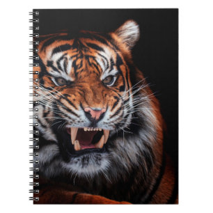 Schöner Sumatra-Tiger (Panthera tigris sumatrae) Notizblock