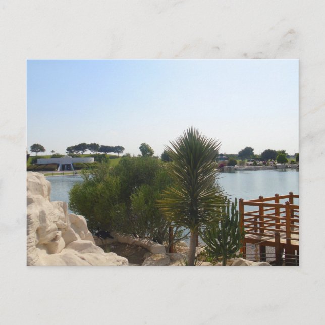 schöner Tag am Teich Postkarte (Vorderseite)