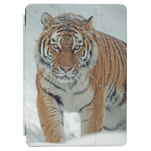 Schöner Tiger in Schnee iPad Air Hülle