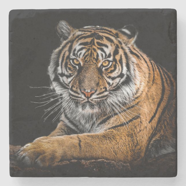 Schöner Tiger mit schwarzem Hintergrund Steinuntersetzer (Vorderseite)