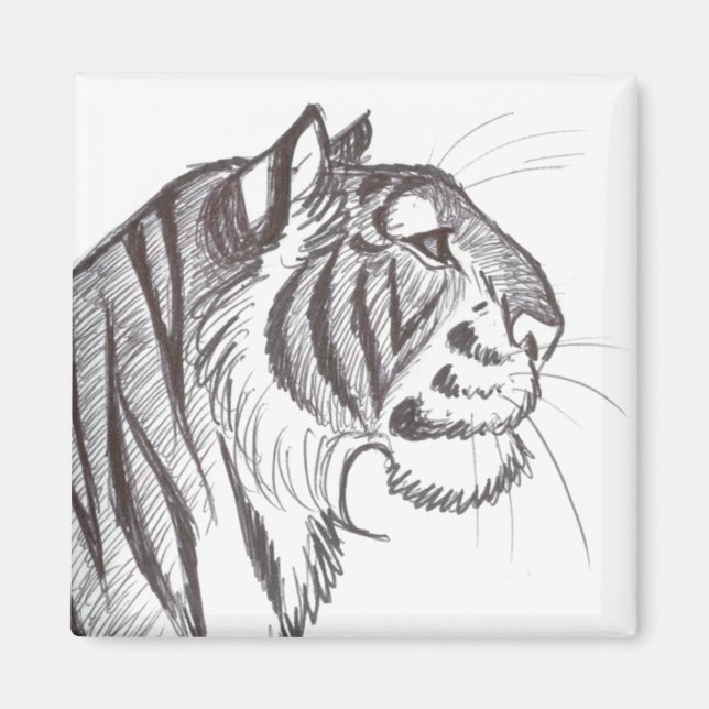Schöner Tiger-zeichnend Magnet (Vorne)