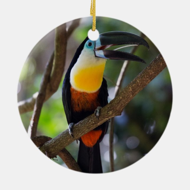 Schöner toucan Vogel in einer Baumnaturlandschaft Keramik Ornament (Hinten)