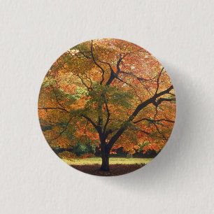 Schöner Tree Button