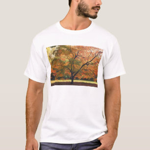 Schöner Tree T-Shirt