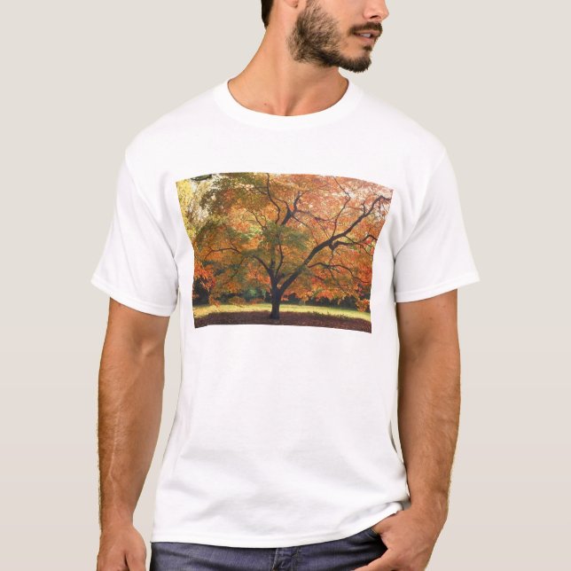 Schöner Tree T-Shirt (Vorderseite)