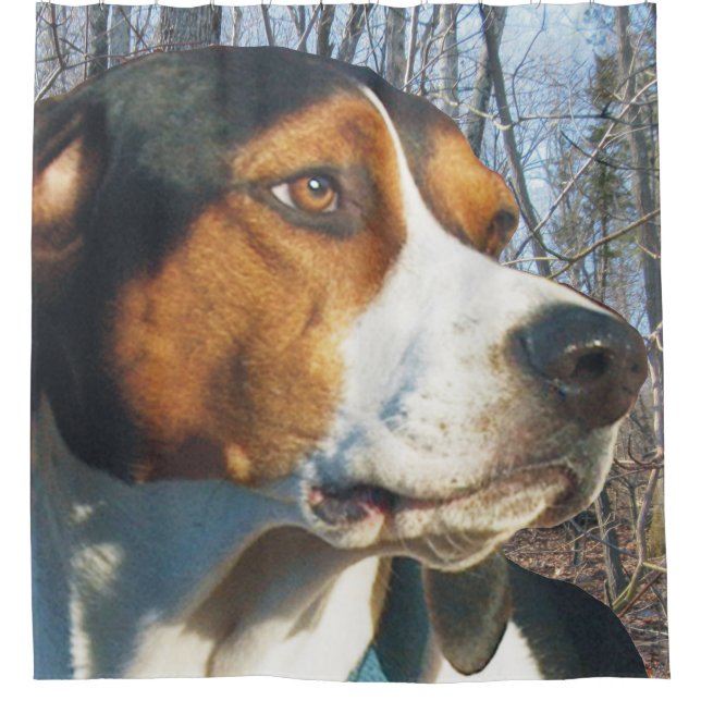 Schöner Treppenhund Duschvorhang (Vorderseite)
