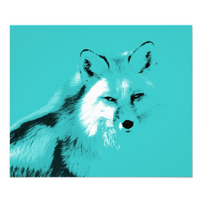 Schöner Türkis Blue Fox Fotodruck (Vorne)