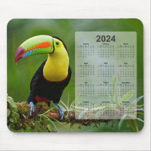 Schöner und farbenfroher Tropen Toucan 2024 Kalend Mousepad