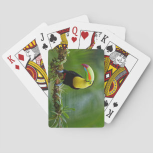 Schöner und farbenfroher Tropenvogel Spielkarten
