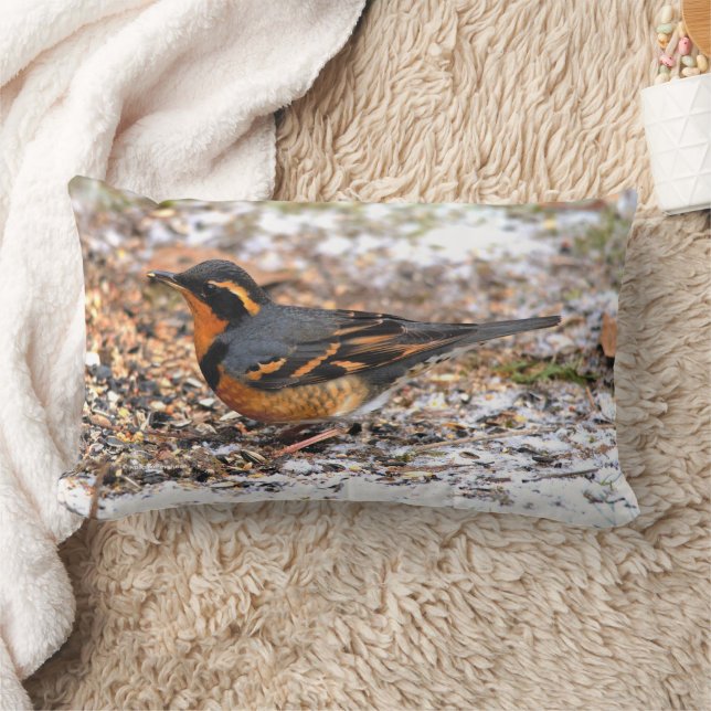 Schöner Varieté-Songbird auf dem schneebedeckten B Lendenkissen (Decke)