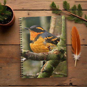 Schöner Varieté-Songbird im Baum Notizblock